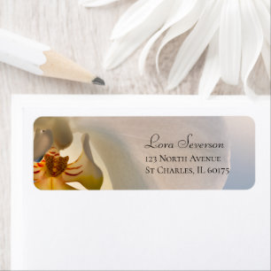 Etiqueta Dirección de retorno de la elegancia de orquídeas 