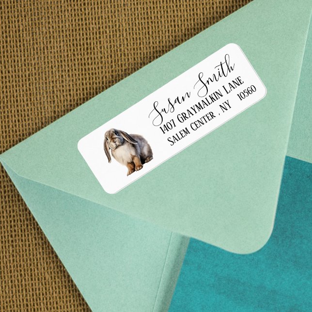 Etiqueta Dirección de script de Bunny Lop (Subido por el creador)