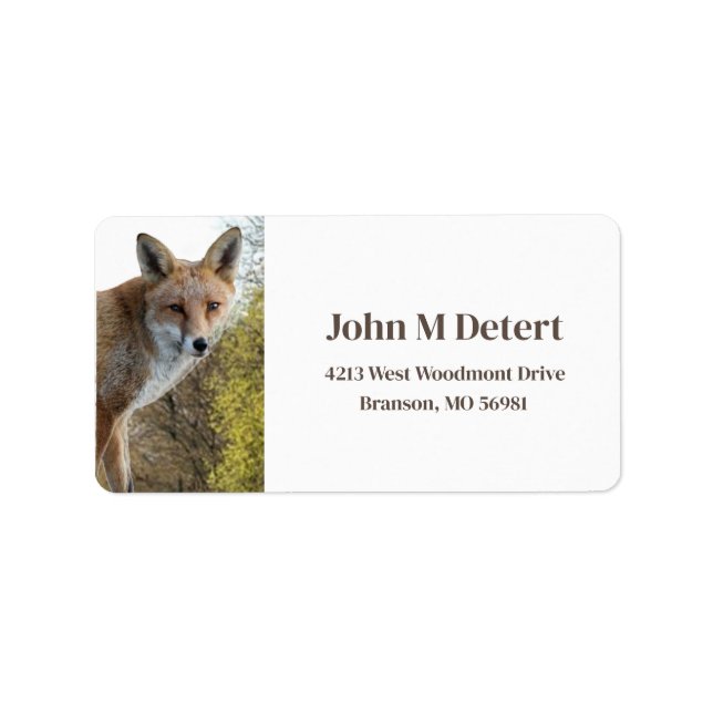 Etiqueta Dirección de Zorro  (Frente)