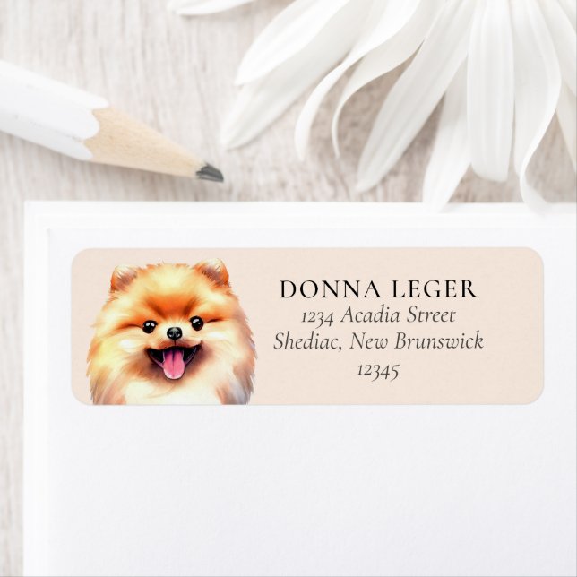 Etiqueta Dirección personalizada de perro de Pomerania (In situ)
