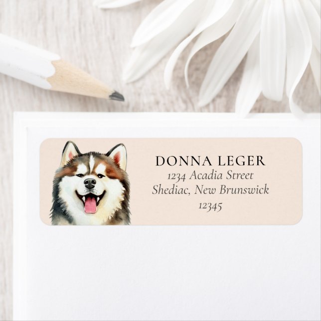Etiqueta Dirección personalizada del perro Husky Siberiano (In situ)