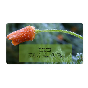 Etiqueta Discoteca California con escarcha ligera