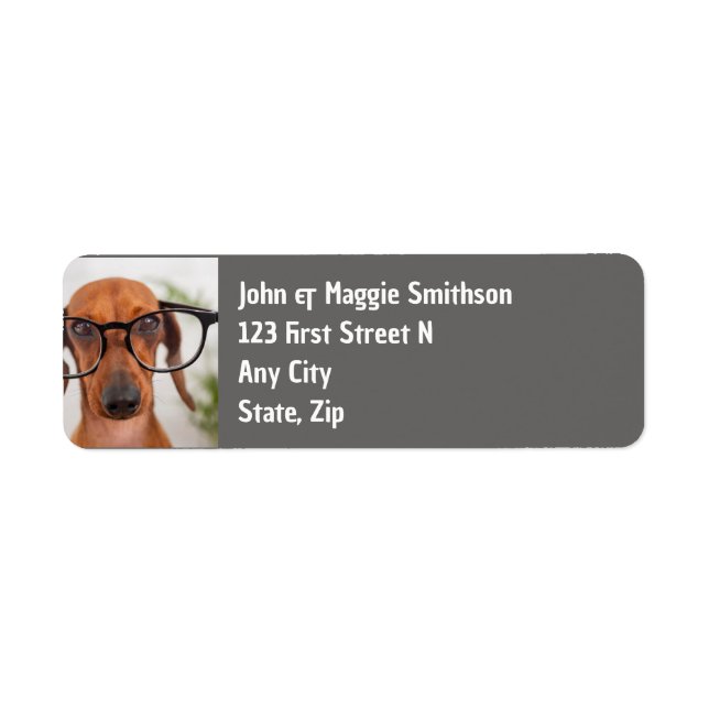 Etiqueta Diversión de perro de Dachshund con Mascota de ant (Frente)