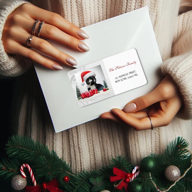 Etiqueta Divertidas direcciones de Navidades Gorras de Gato (Subido por el creador)