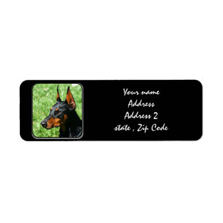 Etiqueta Doberman Pinscher