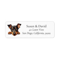 Doberman Pinscher Perro Raza Pet Avers
