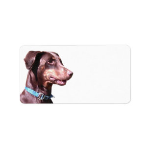 Etiqueta Doberman Pinscher Red