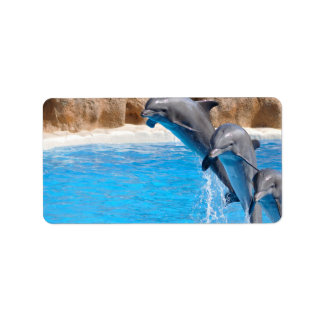 ETIQUETA DOLPHIN