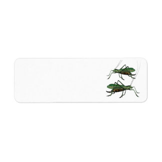 Etiqueta Dos Grasshoppers verdes / Katydids