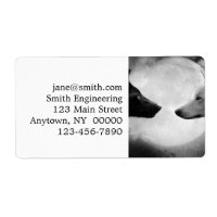 Dos lobos enfrentándose