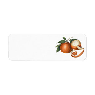 Etiqueta Dos naranjas hermosos - pintura antigua
