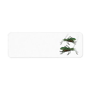 Etiqueta Dos saltamontes verdes/Katydids