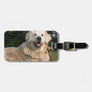 Etiqueta dulce del equipaje del golden retriever