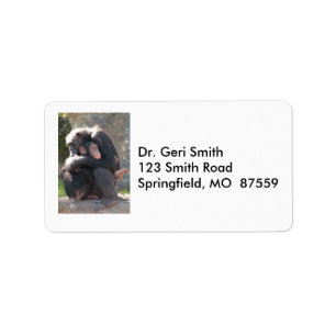 Etiqueta ¡Dulce! Dos chimpancés comparten un abrazo