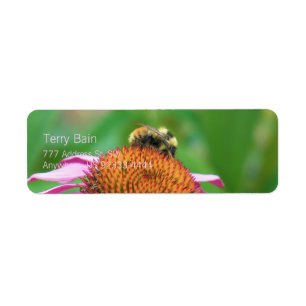 Etiqueta Echinacea de la abeja
