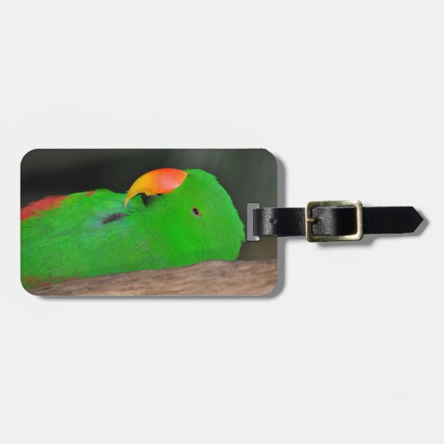 Etiqueta ecléctica de equipaje de loro verde (Frente Horizontal)
