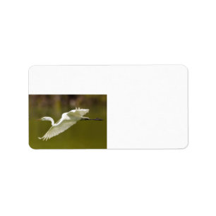 Etiqueta egret en vuelo