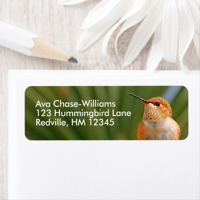 Etiqueta El colibrí escurridizo en el resto (In situ)