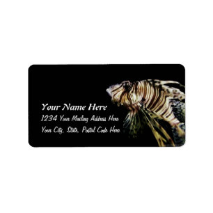Etiqueta El Lionfish