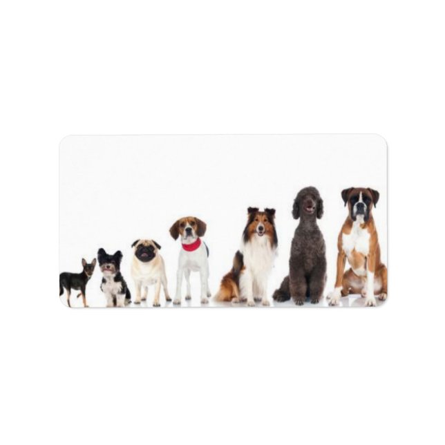 Etiqueta "el mejor amigo del hombre". (Frente)