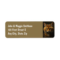 El Naranja Grumpy divertido Tabby Cat kitten