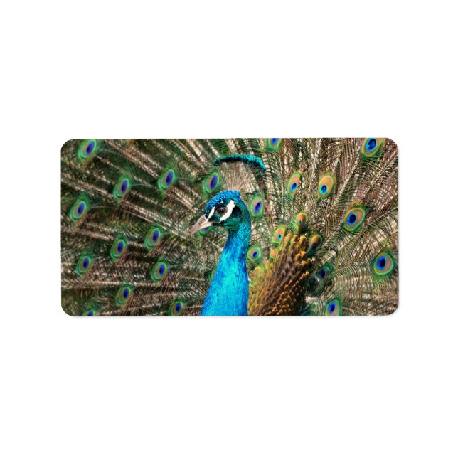 Etiqueta El pavo real azul (Frente)