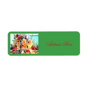 Etiqueta El tocar la trompeta de los ángeles de las Felice