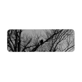 Etiqueta El varón que toma el reloj