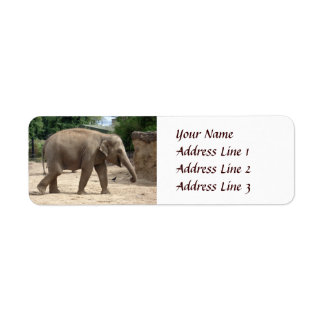 Etiqueta Elefante Asiático Caminando En Dirección De Retorn