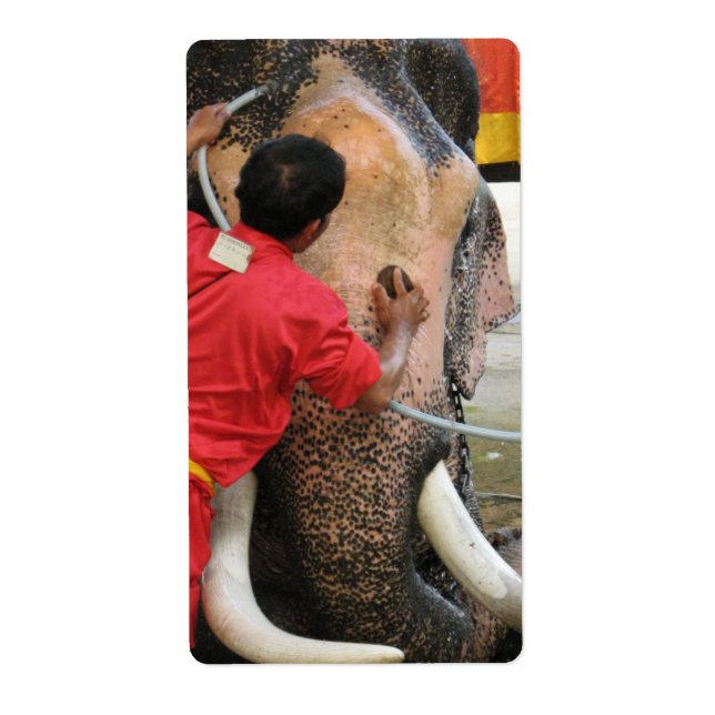 Etiqueta Elefante Bathtime... Ayutthaya, Tailandia (Frente)