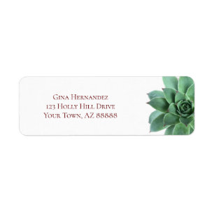 Etiqueta Elegant Green Succulent Return Address