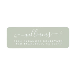 Etiqueta Elegante Script Pastel Green Family Return Address