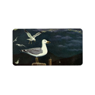 Etiqueta Embarcadero encaramado gaviota del vintage,