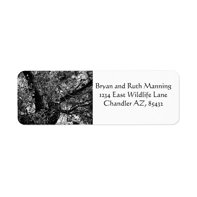 Etiqueta Encontrarme en los árboles (Frente)