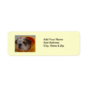 Etiqueta English Bulldog Puppy Return address labels