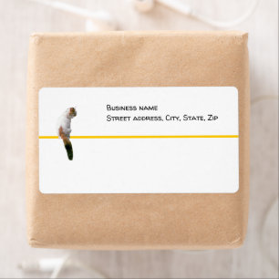 Etiqueta - envío - Watch Cat