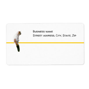 Etiqueta - envío - Watch Cat