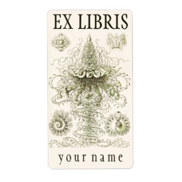 Etiqueta Ernst Haeckel Siphonophorae