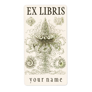 Etiqueta Ernst Haeckel Siphonophorae