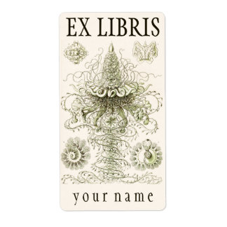 Etiqueta Ernst Haeckel Siphonophorae