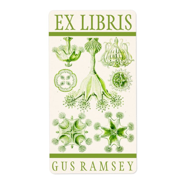 Etiqueta Ernst Haeckel Stauromedusae Bookplate (Frente)