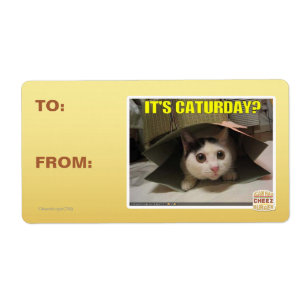 Etiqueta ¿Es sábado?