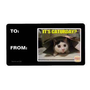 Etiqueta ¿Es sábado?