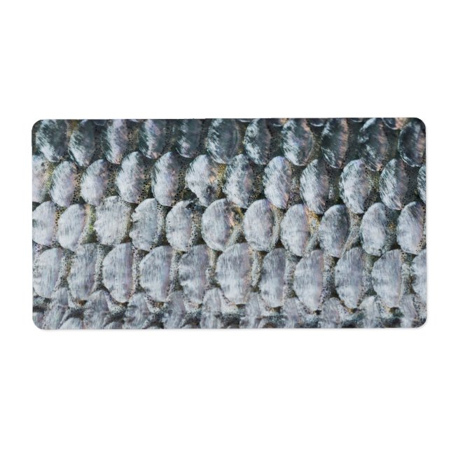 Etiqueta Escalas de Salmon brillantes (Frente)