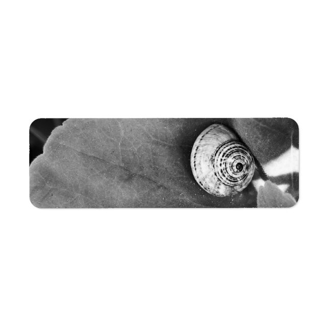 Etiqueta Escarnio (Frente)