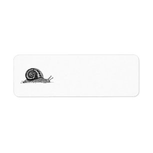 Etiqueta Escarnio
