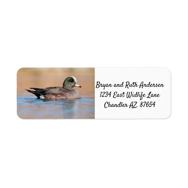 Etiqueta Escijona americana masculina (Frente)