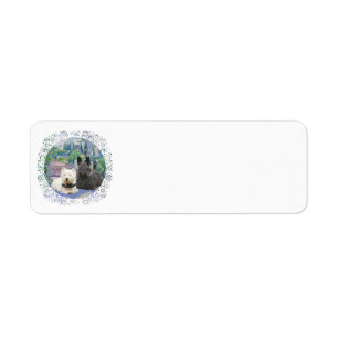 Etiqueta Escocia y Westie en un acogedor jardín