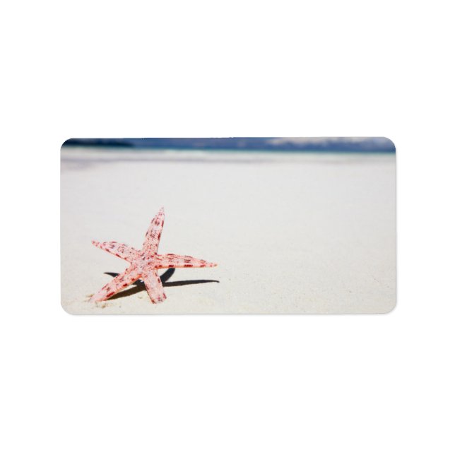 Etiqueta Estrellas de mar en la playa (Frente)
