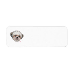 Etiqueta Estudio de Cabeza de Shih Tzu Rescatado Pequeño